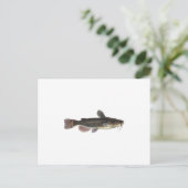 Carte Postale Art du poisson-taupe noir (Debout devant)