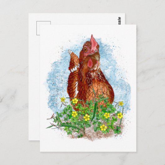 Carte Postale Art du poulet tiré à la main (Devant / Derrière)