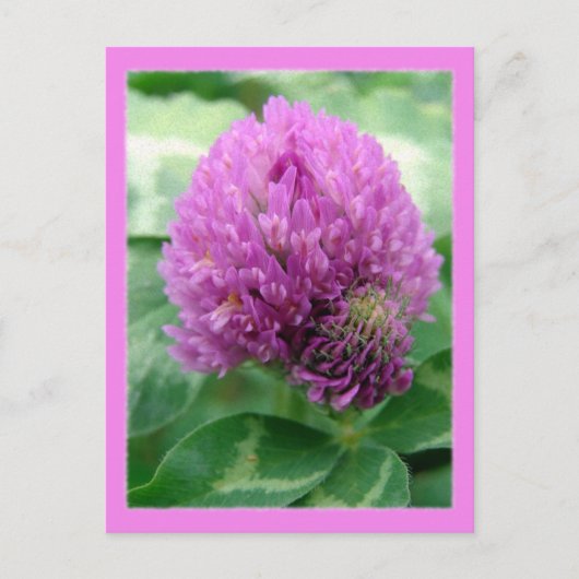 Carte Postale Art du vêtement (Devant)