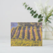 Carte Postale Art Du Vignoble (Debout devant)