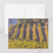 Carte Postale Art Du Vignoble (Devant / Derrière)