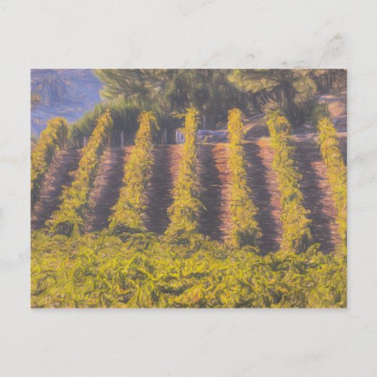 Carte Postale Art Du Vignoble (Devant)