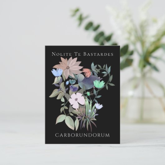 Carte Postale Art féministe Nolite Te Bastardes Carborundorum (Debout devant)