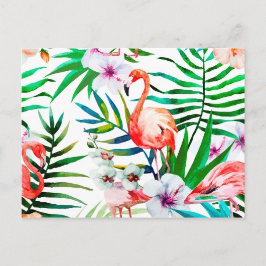 Carte Postale Art flamand tropical (Devant)