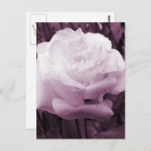 Carte Postale Art floral (Devant / Derrière)