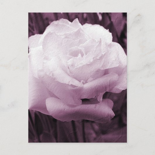 Carte Postale Art floral (Devant)