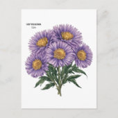 Carte Postale Art floral personnalisé du mois de naissance Aster (Devant)