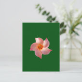 Carte Postale Art floral rose (Debout devant)