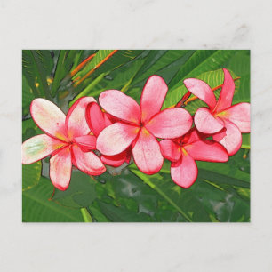 Carte Postale Art Frangipanier Tropical Rose