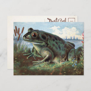 Carte postale Art Frog de Victoria 