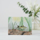 Carte Postale Art Gagnant Par B. Selby 4e année (Debout devant)