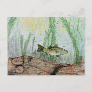 Carte Postale Art Gagnant Par B. Selby 4e année