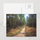 Carte postale Art HDR Forest Path (Devant / Derrière)