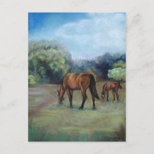 Carte postale Art "Horse Pasture"