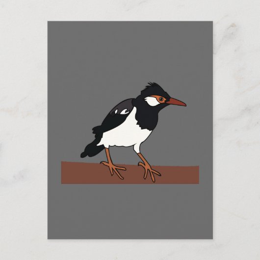 Carte Postale Art indien Pied Mina Bird (Devant)
