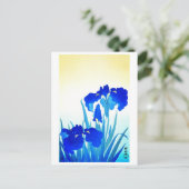 Carte Postale Art japonais (Debout devant)