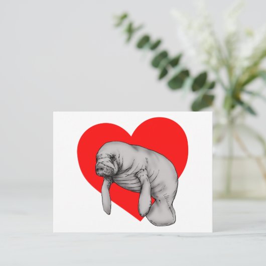 Carte Postale art manatee (Debout devant)