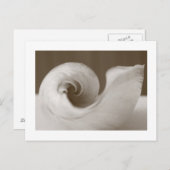 Carte Postale Art moderne (Devant / Derrière)