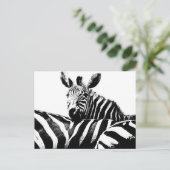 Carte Postale Art moderne Black & White Pop Photo Zebras (Debout devant)