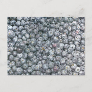 Carte Postale Art Myrtilles