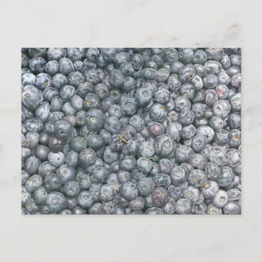 Carte Postale Art Myrtilles (Devant)
