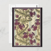 Carte Postale Art Nouveau Fleur de chardon (Devant / Derrière)