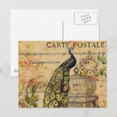 Carte Postale art nouveau vintage paon (Devant / Derrière)
