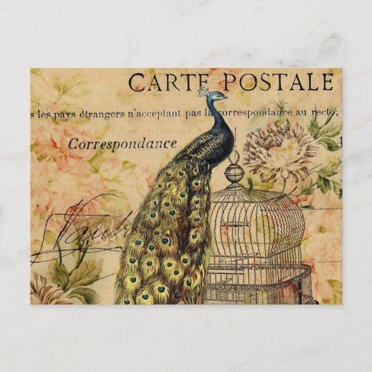 Carte Postale art nouveau vintage paon (Devant)