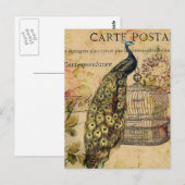 Carte Postale art nouveau vintage paon (Devant / Derrière)