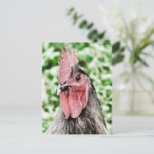 Carte Postale Art numérique Blue Rooster (Debout devant)