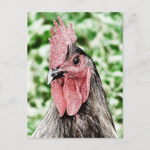 Carte Postale Art numérique Blue Rooster