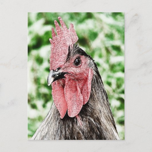 Carte Postale Art numérique Blue Rooster (Devant)