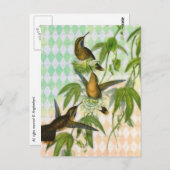 Carte Postale Art numérique de colibri (Devant / Derrière)
