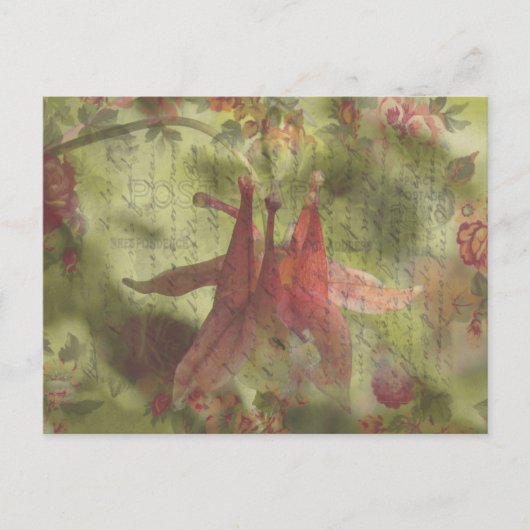 Carte Postale Art numérique de la fleur de Columbine (Devant)