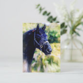 Carte Postale Art numérique du cheval noir (Debout devant)