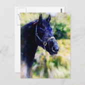Carte Postale Art numérique du cheval noir (Devant / Derrière)
