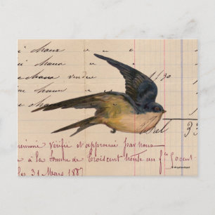 Carte Postale Art numérique papier vintage pour oiseaux et livre