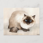 Carte postale Art Original Chat Himalayan (Devant)