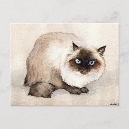 Carte postale Art Original Chat Himalayan (Devant)