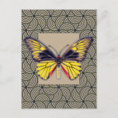 Carte Postale Art papillon vintage (Devant)