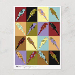 Carte Postale Art : perroquet Cadeaux de conception de surface