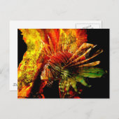 Carte Postale Art Photo Tropical Lionfish (Devant / Derrière)