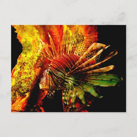 Carte Postale Art Photo Tropical Lionfish (Devant)