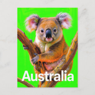 Carte Postale Art Pop Australien Koala