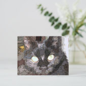 Carte Postale Art pop de chat noir (Debout devant)