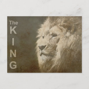 Carte Postale Art Pop moderne Modèle Animal Lion Head The King