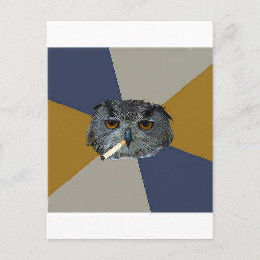 Carte Postale Art Student Owl Advice Animal Meme (Devant)