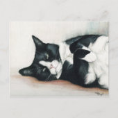 Carte postale Art "Tuxedo Cat" (Devant)