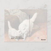 Carte Postale Art vintage de chat persan (Dos)
