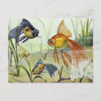 Art vintage poisson rouge